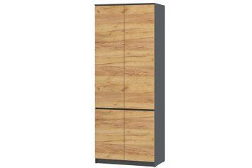 Шафа Formo-10 (80 &times; 54 &times; 207 см, антрацит і тахо) ph-shf-ns-shg-ntrc-th фото
