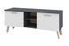 Тумба для TV Maximo (120х40х47 см, антрацит + білий) ph-tmb-rg-ntc-bl фото