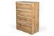 Комод SleekSpace-2 4ШУХ (дуб аппалачі і німфея альба, 80x43x111 см) IMI lkmd-brgm2-db-ppl-nmf-lb фото 1